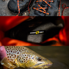 CreekFeet Custom Orthotics - COLLECTIVE